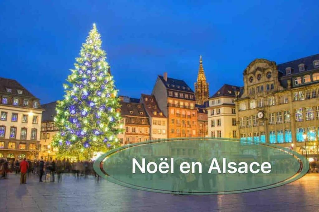 Gite Classe 4 Etoiles  La Maison Du Tonnelier Oberbronn Bagian luar foto
