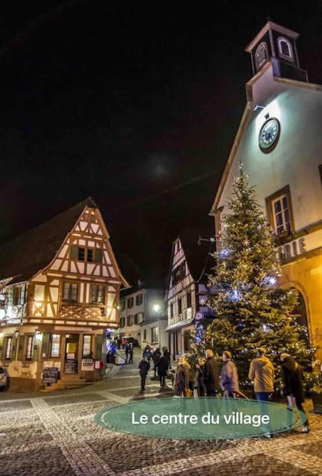 Gite Classe 4 Etoiles  La Maison Du Tonnelier Oberbronn Bagian luar foto