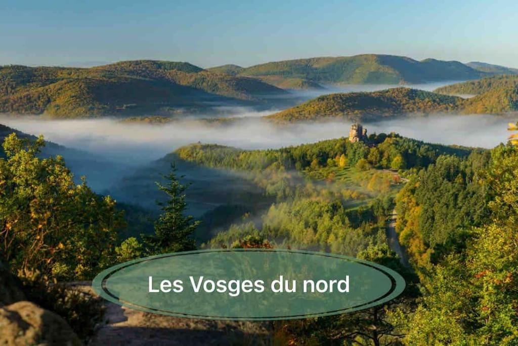 Gite Classe 4 Etoiles  La Maison Du Tonnelier Oberbronn Bagian luar foto