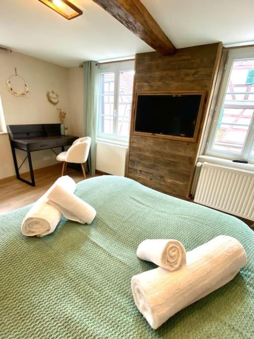 Gite Classe 4 Etoiles  La Maison Du Tonnelier Oberbronn Bagian luar foto