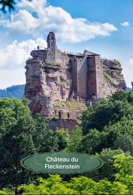Gite Classe 4 Etoiles  La Maison Du Tonnelier Oberbronn Bagian luar foto