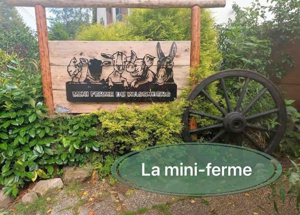 Gite Classe 4 Etoiles  La Maison Du Tonnelier Oberbronn Bagian luar foto